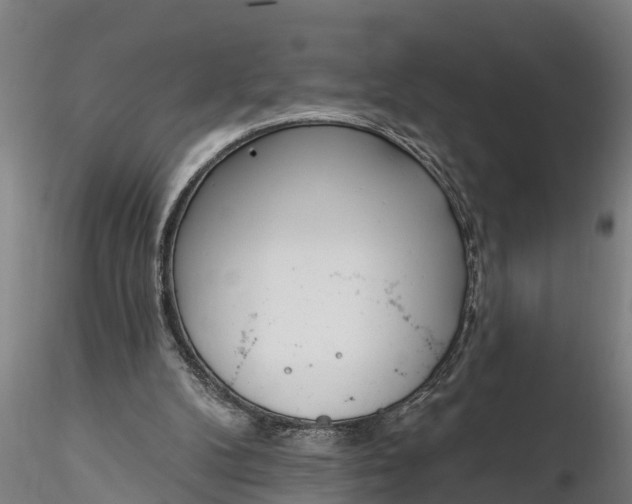 X0000116380104200912161510