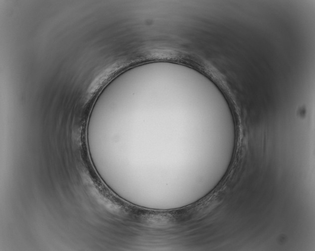 X0000116380106200912161510