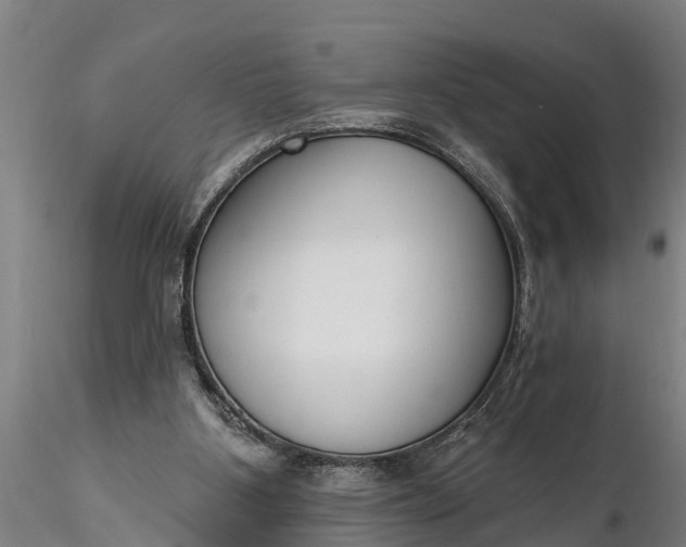 X0000116380107200912161510