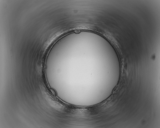 X0000116380108200912161510