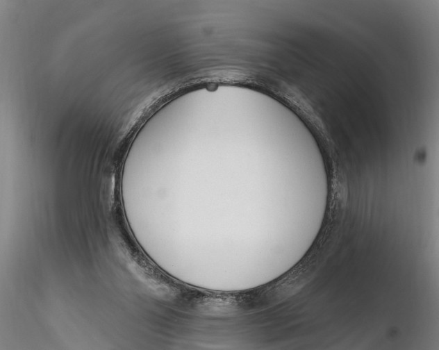 X0000116380110200912161510