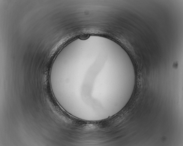 X0000116380111200912161510