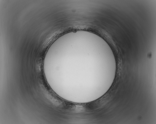 X0000116380114200912161510
