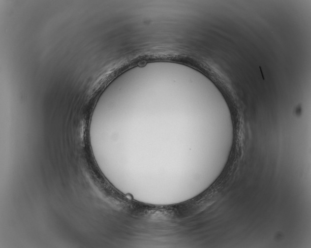 X0000116380115200912161510