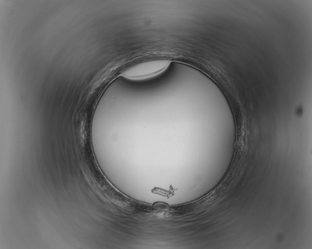 X0000116380116200912161510