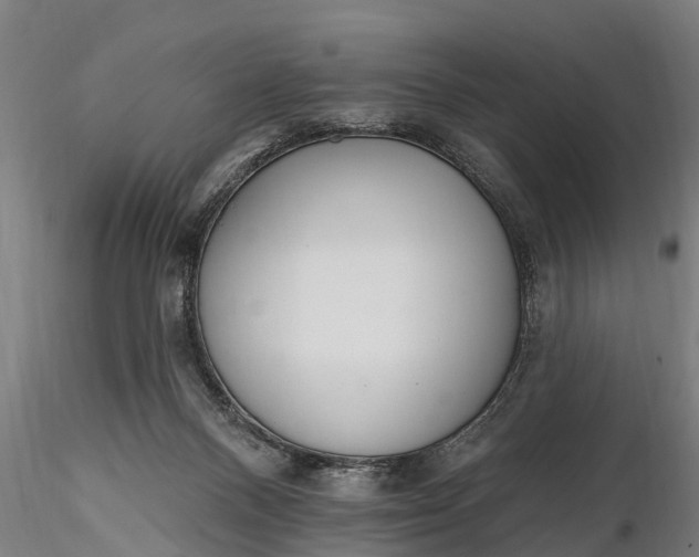 X0000116380120200912161510