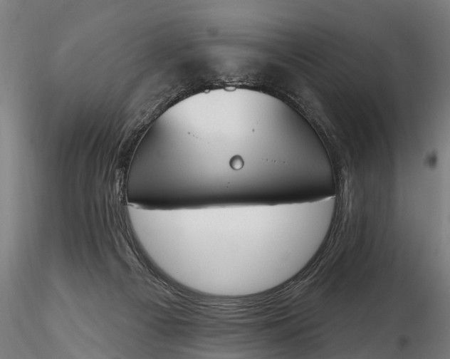 X0000116380121200912161510