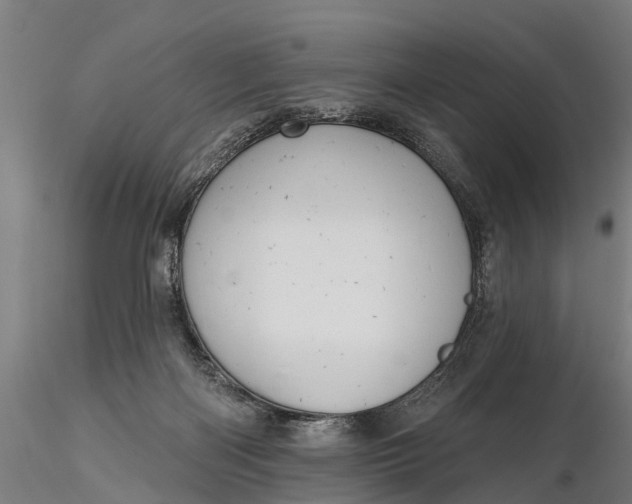 X0000116380122200912161510
