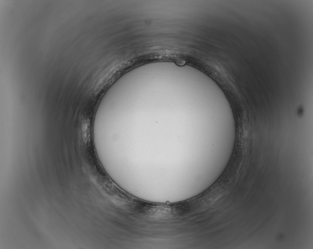 X0000116380123200912161510