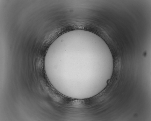 X0000116380126200912161510
