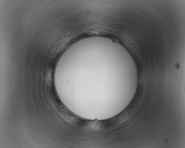 X0000116380127200912161510