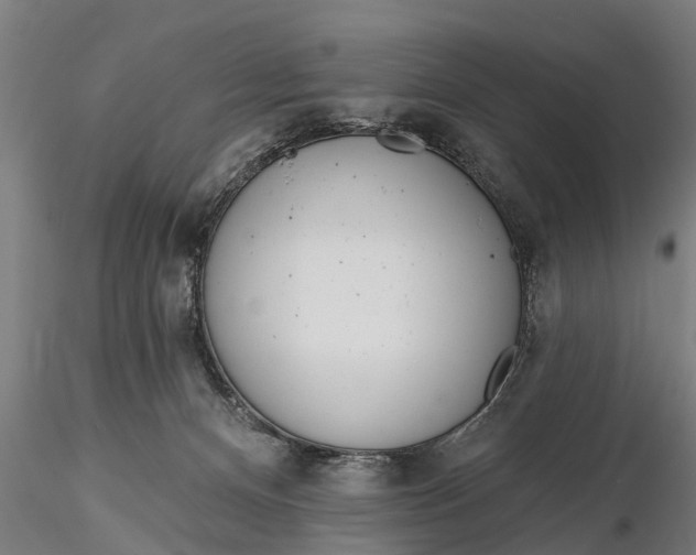 X0000116380128200912161510