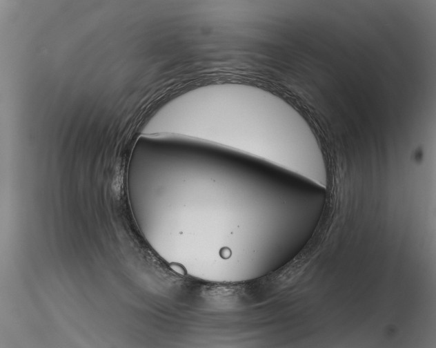 X0000116380129200912161510