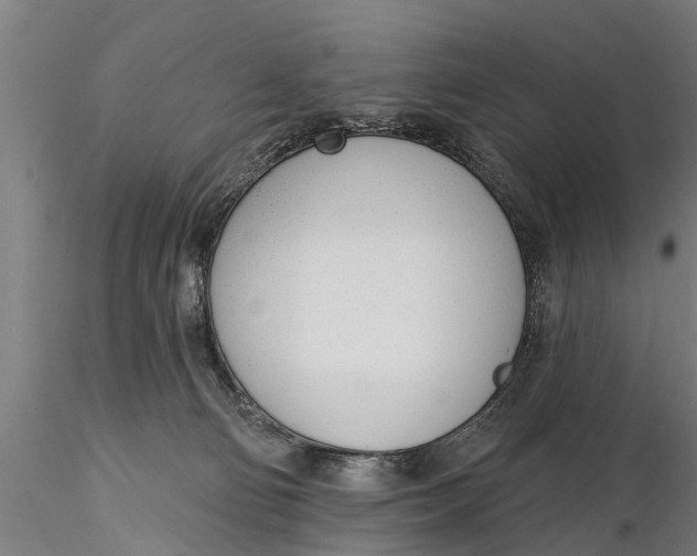 X0000116380130200912161510