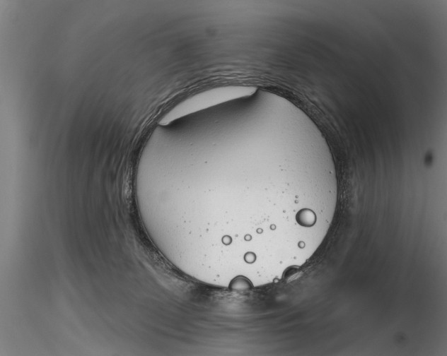 X0000116380131200912161510