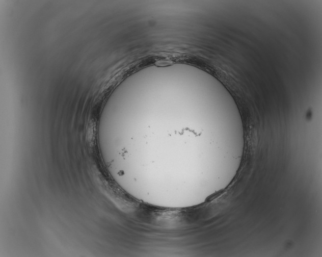 X0000116380132200912161510