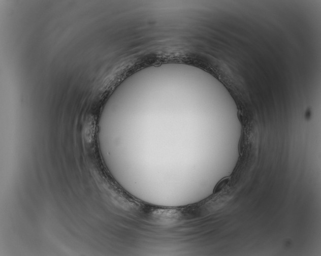 X0000116380133200912161510
