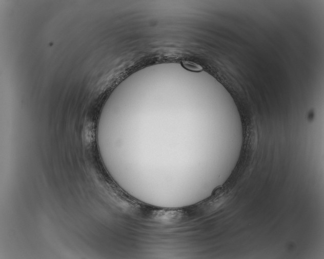 X0000116380135200912161510