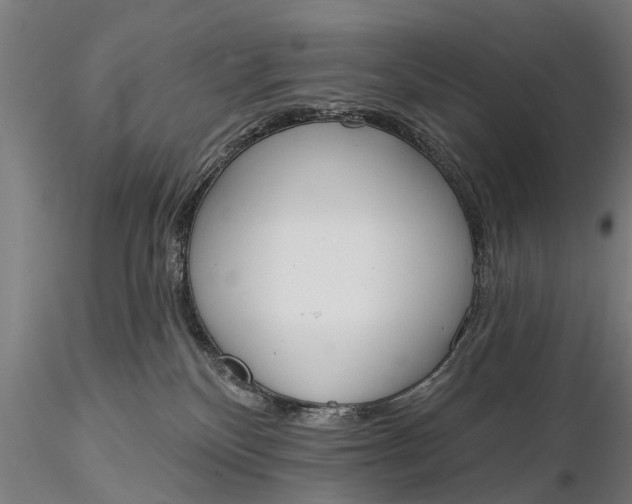 X0000116380136200912161510