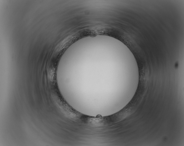 X0000116380139200912161510