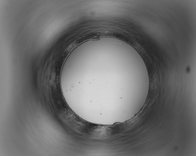 X0000116380140200912161510