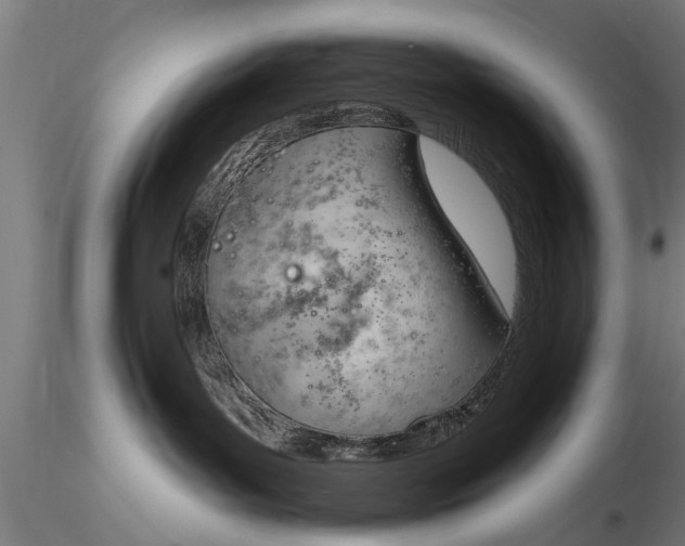 X0000116380143200912161510