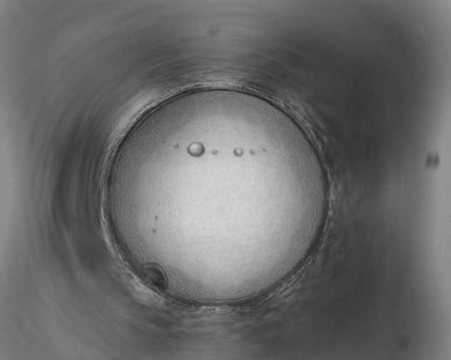 X0000116380145200912161509