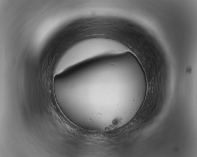 X0000116380146200912161509