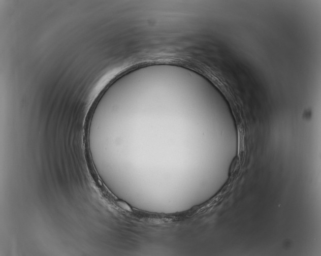X0000116380147200912161509