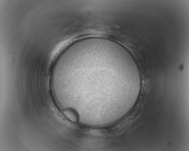 X0000116380149200912161509
