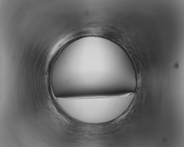 X0000116380150200912161509