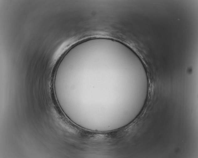 X0000116380151200912161509