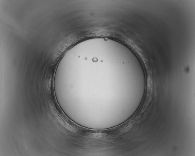 X0000116380153200912161509