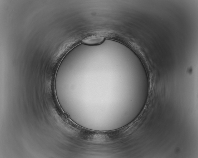 X0000116380154200912161509