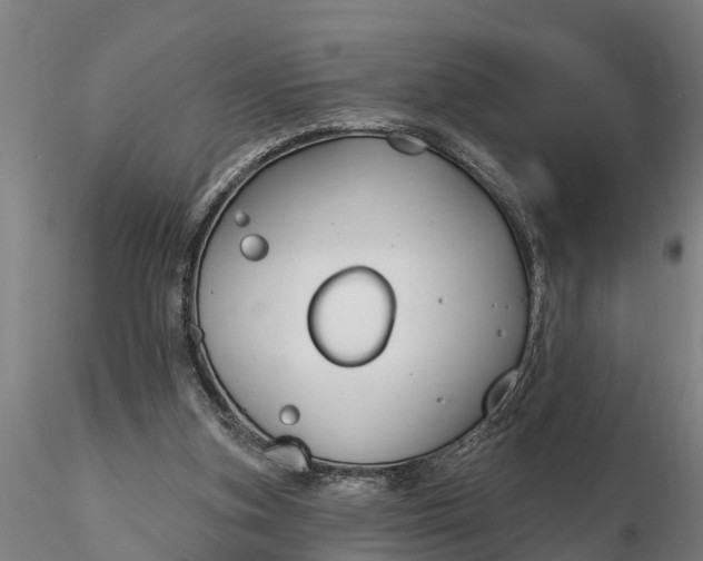 X0000116380155200912161509