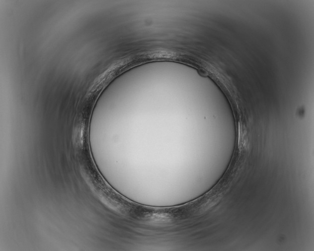 X0000116380157200912161509