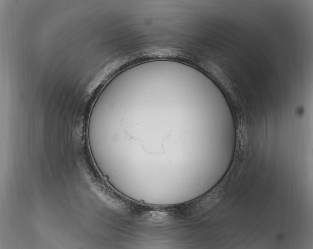 X0000116380159200912161509