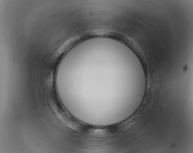 X0000116380163200912161509