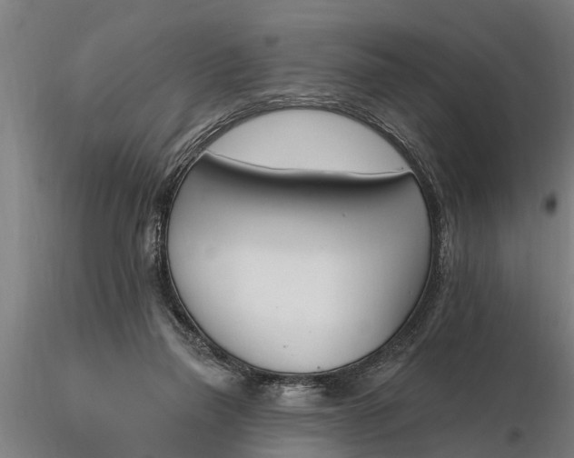 X0000116380165200912161509