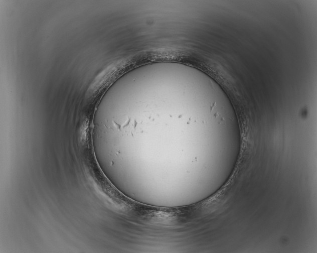 X0000116380166200912161509