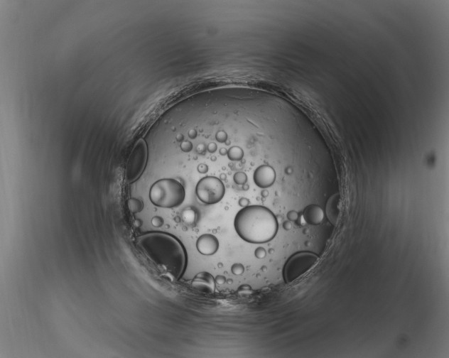 X0000116380167200912161509