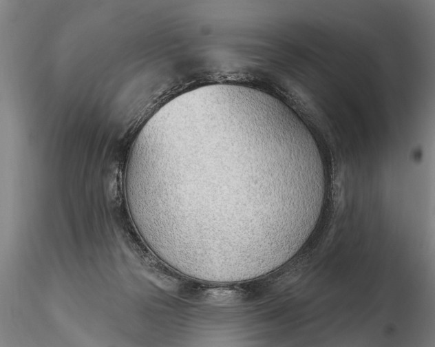 X0000116380169200912161509