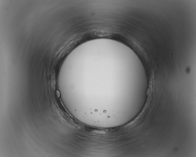 X0000116380170200912161509