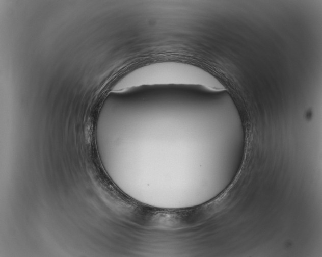 X0000116380174200912161509