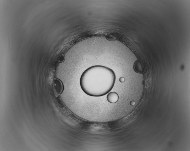 X0000116380175200912161509