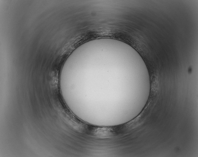 X0000116380179200912161509