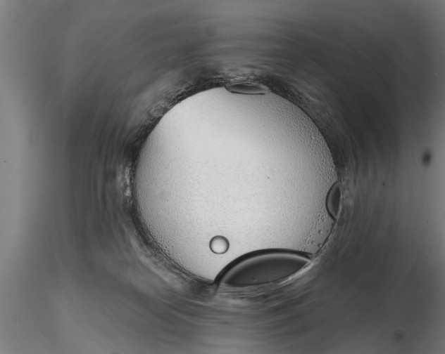 X0000116380182200912161509