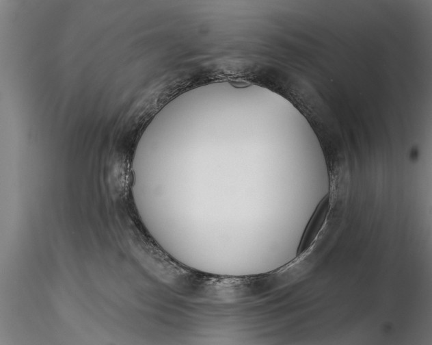 X0000116380186200912161509