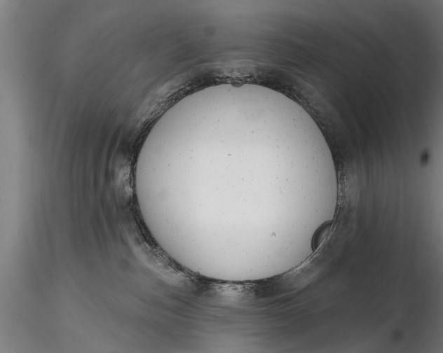 X0000116380187200912161509