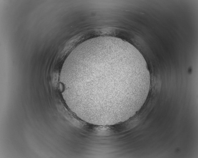 X0000116380189200912161510